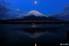 Moonlight Shower