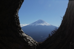 木々の隙間から…　其之三