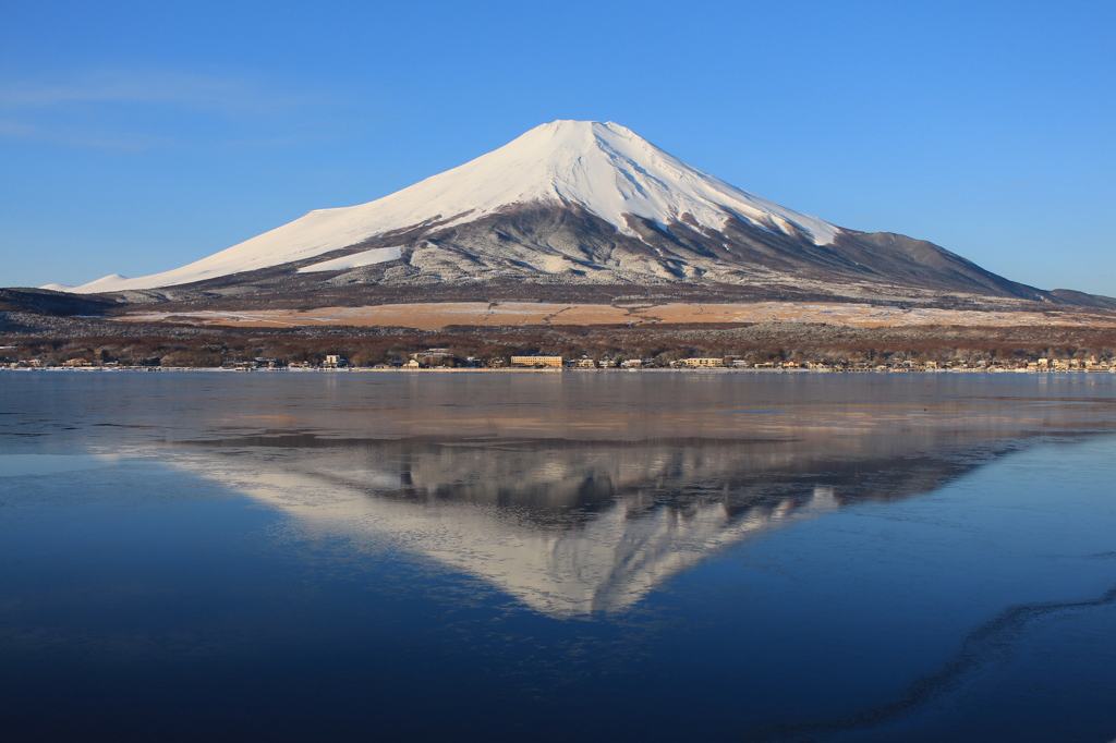 ある朝の風景