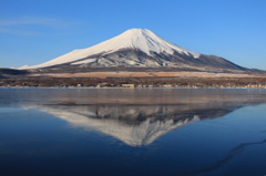 ある朝の風景