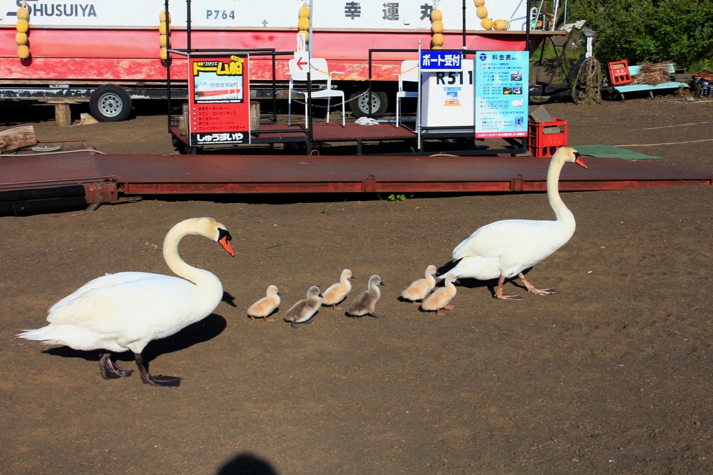 そして、一家の大行進