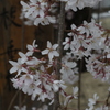 400年間…