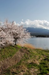 湖と桜、そして富士　其之二