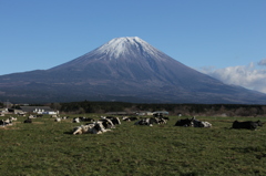 大草原ののどかな風景