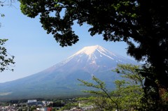 新緑の隙間から…