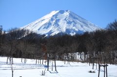 雪化粧の公園にて…