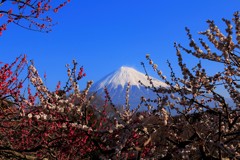 彩りの公園にて