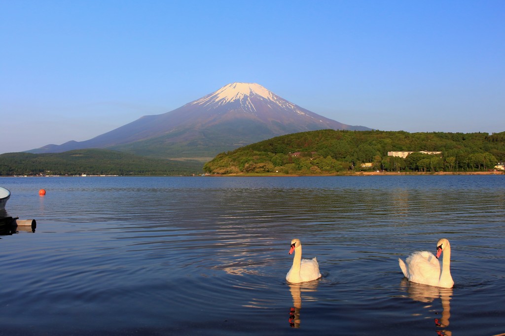 朝のひととき