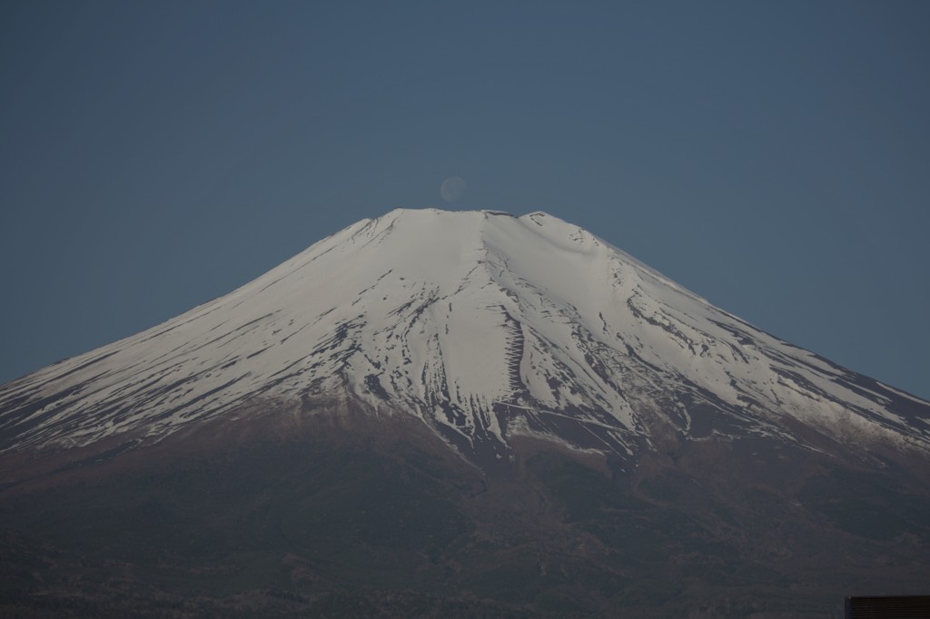 ある朝の出来事