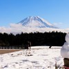 見上げる。