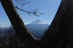 木々の隙間から…　其之二