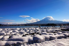 雪化粧の湖畔から