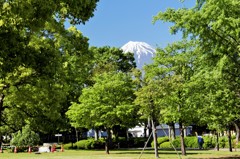 街のオアシスから…。