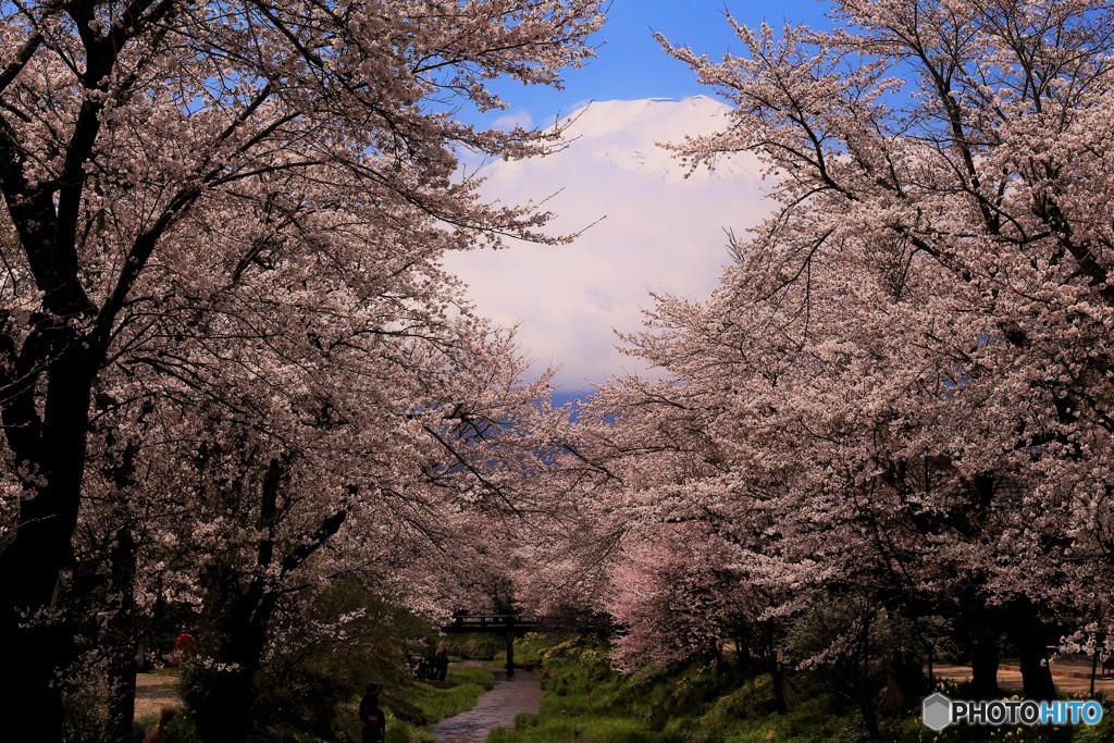 今年も最後はここから。