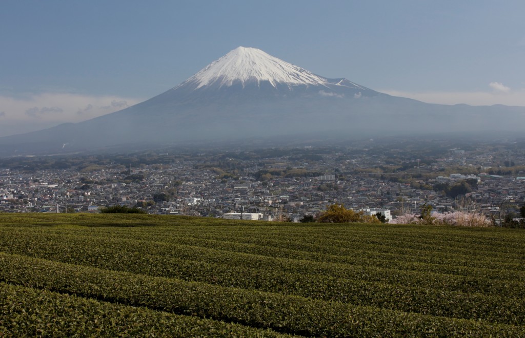 これぞ静岡！な風景。