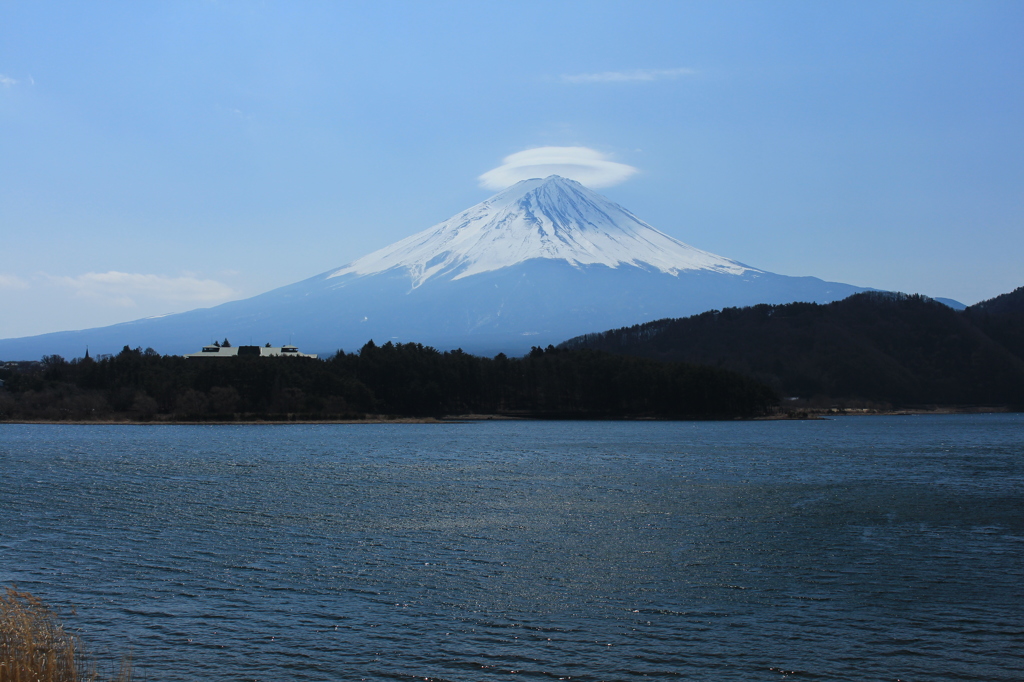 更なる進化