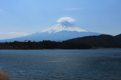 更なる進化