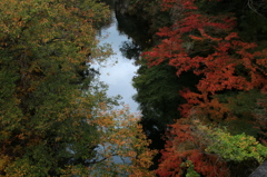 橋の上から…