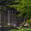マイナスイオンに、会いに行く。～静岡編～