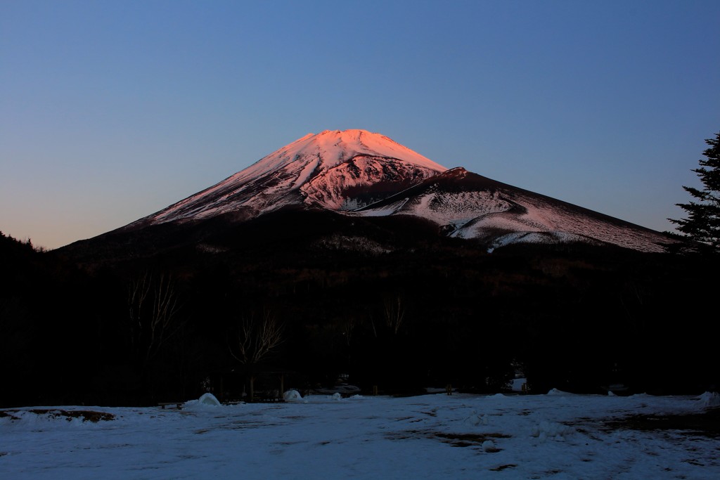 彩りの頂