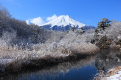 樹氷を見下ろす