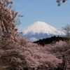 我が街の日本の春