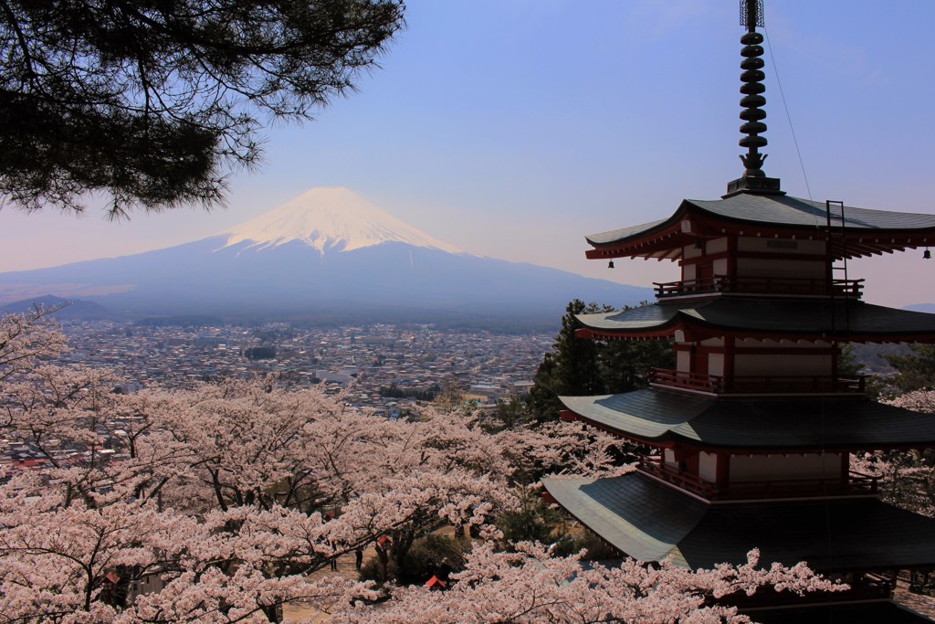 今年こそは…またこの場所から。