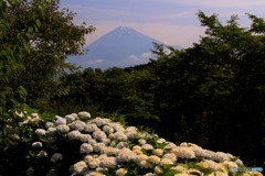 梅雨晴れの朝