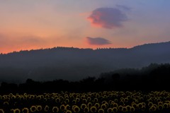 彷徨いの雲、紅く染まりて…