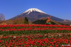 富士の麓の異国情緒