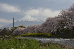 河原に降りて…