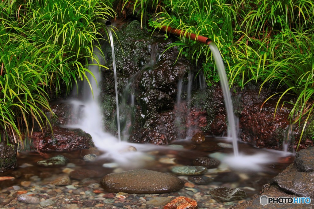 水飲み場