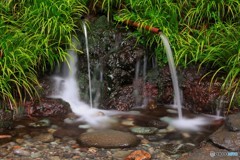 水飲み場