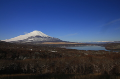 抜けるような青空と…