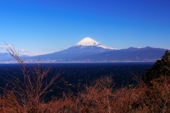 波立つ海越しに