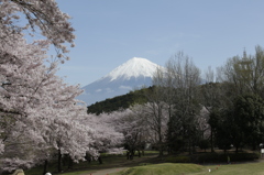 朝のひととき　其之二