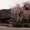 信仰の山に訪れた春