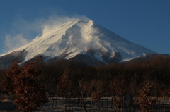 雪煙舞う