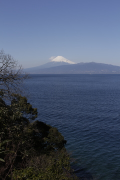 昼下がりの海岸通りにて…