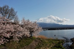 湖と桜、そして富士