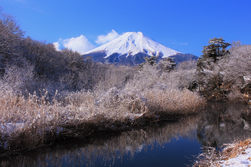 流るる川と樹氷と…