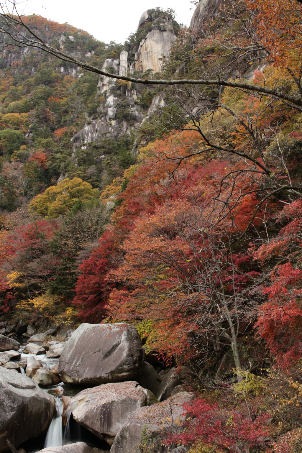 木々の彩りと覚円峰