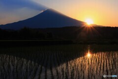 田園に光射すとき