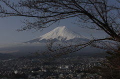 もうしばらくしたら、ここも…。