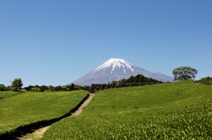 五月晴れ