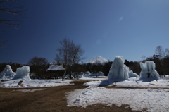 森の中の氷のオアシス