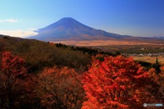 彩りの高台から