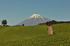 もうひとつの待ち望んだ景色。