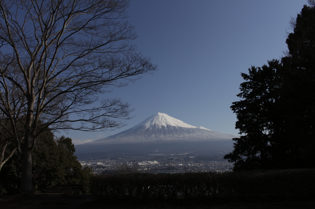 定番の、この場所から…。