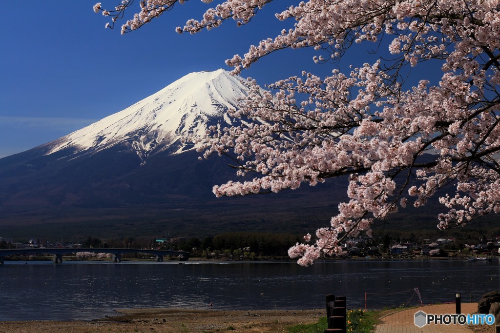 この瞬間は、また来年に。